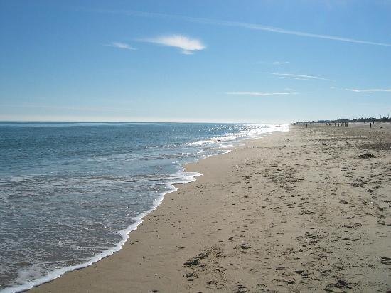 Rehobeth beach