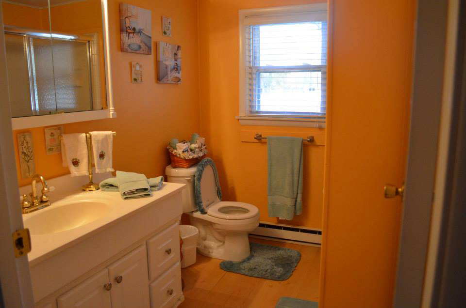thedownstairs_master_bath